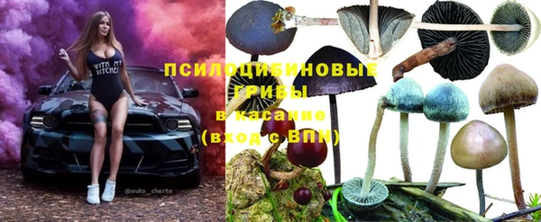 МДПВ Армянск
