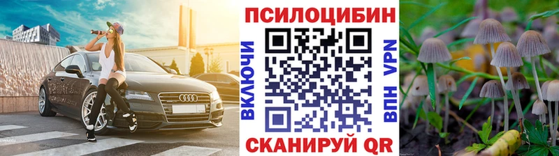 Галлюциногенные грибы Magic Shrooms  Новокубанск 