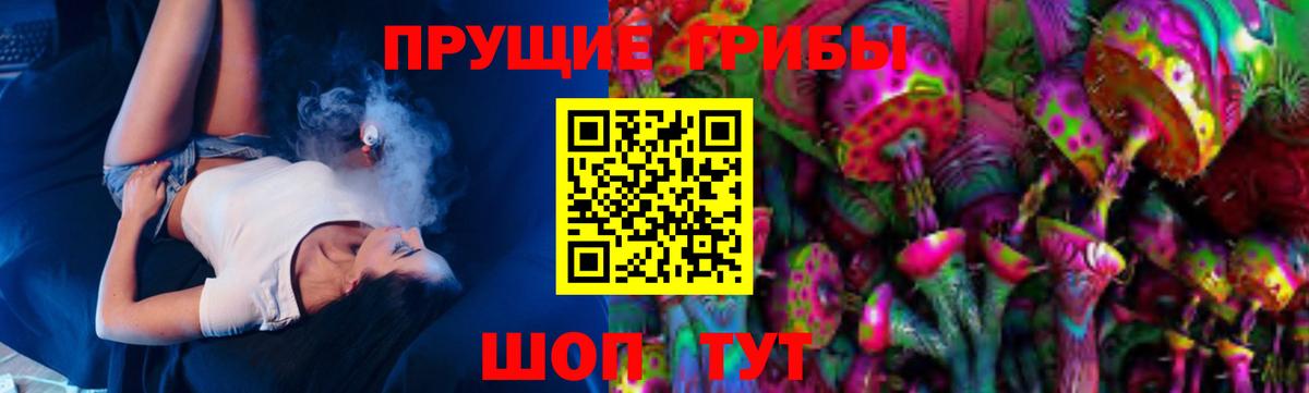 Галлюциногенные грибы Psilocybe  Псилоцибиновые грибы Psilocybine cubensis  Вход с VPN  Новокубанск 