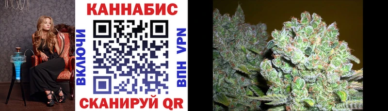 купить наркотик Новокубанск МАРИХУАНА White Widow